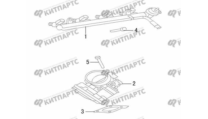 Дроссель, рампа топливная Great Wall Hover H3 New